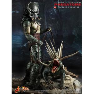 HT - Ѫսʿ2010Ѫ Tracker Predator