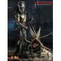 HT - Ѫսʿ2010Ѫ Tracker Predator