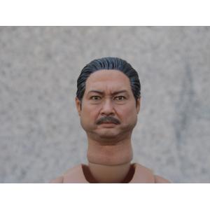 HAOYUTOYS 1/6ͷ�� ��� HY-003