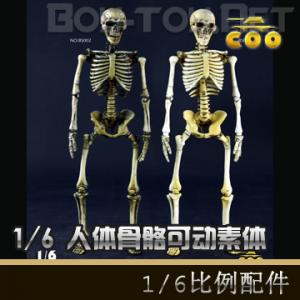 COOMODEL - 1/6ɶ壨