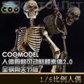 ꡿COOMODEL 1/6 ɶ2.0ȫֹǹؽڰ棩BS003