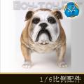DID - 1/6ӢţȮ/British Bulldog AS002A