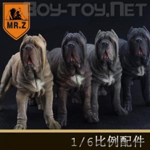 Mr.Z涯1/6ϵ  " ľ"Ŧ