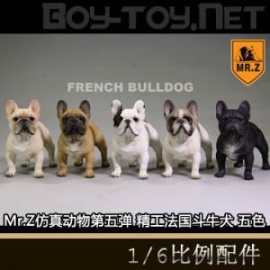 ֻMr.Z涯嵯 - 1/6ġţȮ ɫ