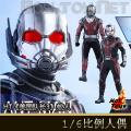 �����꡿Hot Toys - �������ӳ�3:��ս������/Ant-Man (MMS362)