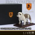 ꡿MR.Z涯 - 1/4 ӢţȮ ˿ɫBJD SD