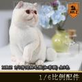ֻMR.Z涯ڰ˵ - 1/6ëè(ӷè) ȫ5ɫ