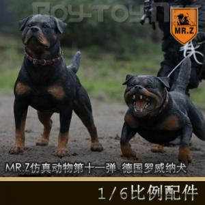 ꡿MR.Z涯ʮһ - 1/6 ¹Ȯ 2