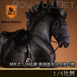 ֻMR.Z涯ʮ - 1/6 ӢĶ ȫ(5)& (SH001-005)