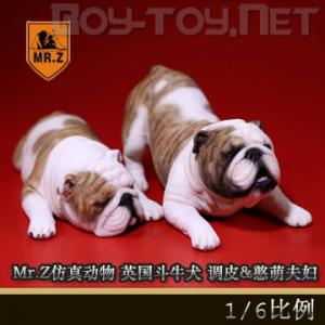 ֻMr.Z涯ʮ - 1/6ӢţȮ Ƥ&ȷ ȫ6 (BD001-006)