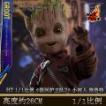 �����꡿Hot Toys - 1/1���� �����ӻ�����2��С���� ��³��/Groot (LMS004)
