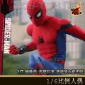 ꡿Hot Toys - 1/6֩:Ӣ۹֩ ͨ& (MMS425/426)
