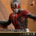 ꡿Hot Toys 1/62:ƷŮ/Ant-Man (MMS497)
