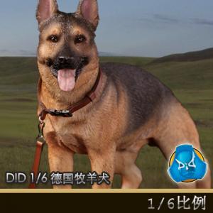 ꡿DID 1/6 ¹Ȯ (AS003)