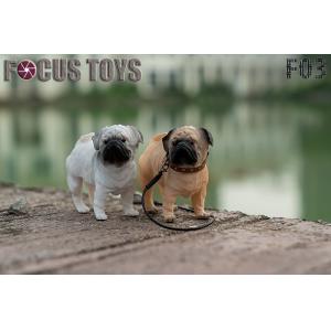 ԤFOCUS TOYS (F03) 1/6˶ģ ﹷ ͹ ɫѡ