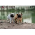 ԤFOCUS TOYS (F03) 1/6˶ģ ﹷ ͹ ɫѡ
