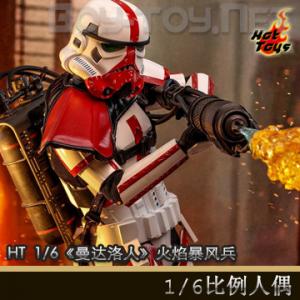 ꡿Hot Toys (TMS012) 1/6ˡ汩