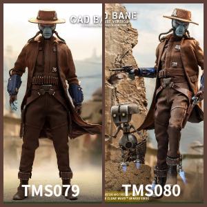 ꡿Hot Toys TMS079/080 1/6.֮顷. ͨ/