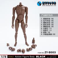 ֻZYTOYS ZY-B003 1/6 пڷխ 2023Ŀ