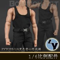 ֻZYTOYS ZY16-12 1/6 ɫս