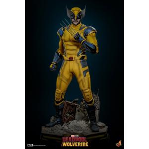 ԤHot Toys STA2402 1/1ԭǡ