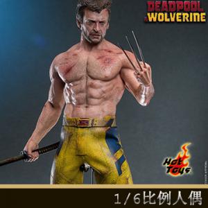 ԤHot Toys MMS756 1/6ǡ(TVAƷ)