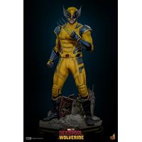 ԤHot Toys STA2402 1/1ԭǡ
