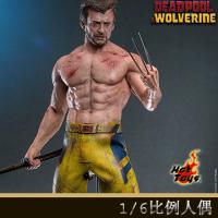 ԤHot Toys MMS756 1/6ǡ(TVAƷ)