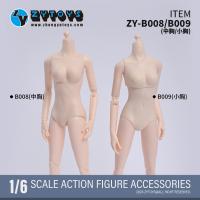 ֻZYTOYS ZY-B008/B009 1/6 ׼Ů 2