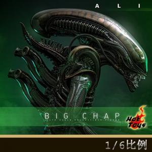 ԤHot Toys MMS826 1/6ΡԪ