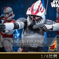 ԤHot Toys TMS167 1/6ս:¡սȮʿ
