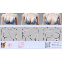 ԤI8TOYS I8-FB-002A/B 1/6 ֹǼܲ轺ȫ