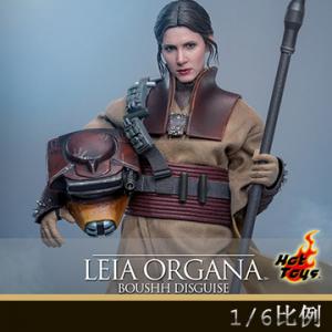 ԤHot Toys MMS854 1/6ս6:ع.¼(ʲ)