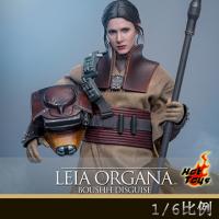 ԤHot Toys MMS854 1/6ս6:ع.¼(ʲ)