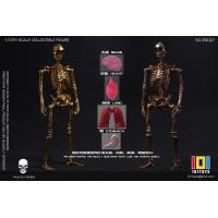 Ԥ101TOYS ES025-027 1/12 Ͼϵ ùǼ ޶2/װ