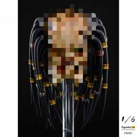 ��Ԥ����Figurekit LAB FK001 1/6���� ���ַ��������׼� ��ż���