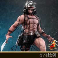 ��Ԥ����Hot Toys CMS034 1/6����������������X���� �����ż