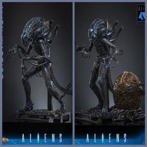 ��Ԥ����Hot Toys MMS898/899 1/6����������2������սʿ ��ͨ/������