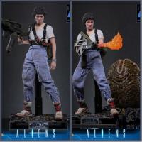 ��Ԥ����Hot Toys MMS894/895 1/6����������2������.������ ��ͨ/������