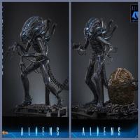 ��Ԥ����Hot Toys MMS898/899 1/6����������2������սʿ ��ͨ/������