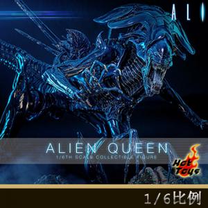 ��Ԥ����Hot Toys MMS903 1/6����������2�����λʺ� �����ż